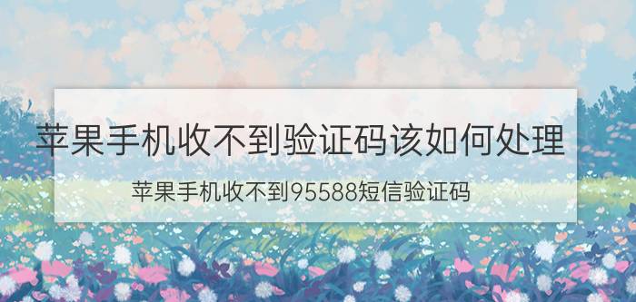 苹果手机收不到验证码该如何处理 苹果手机收不到95588短信验证码？